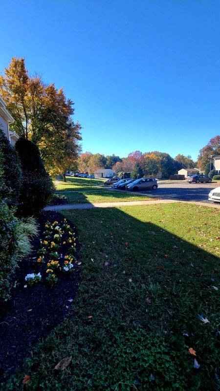 Renovated property image