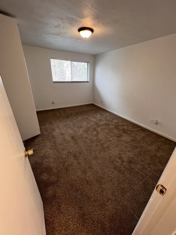 4500 Grove Ave property image