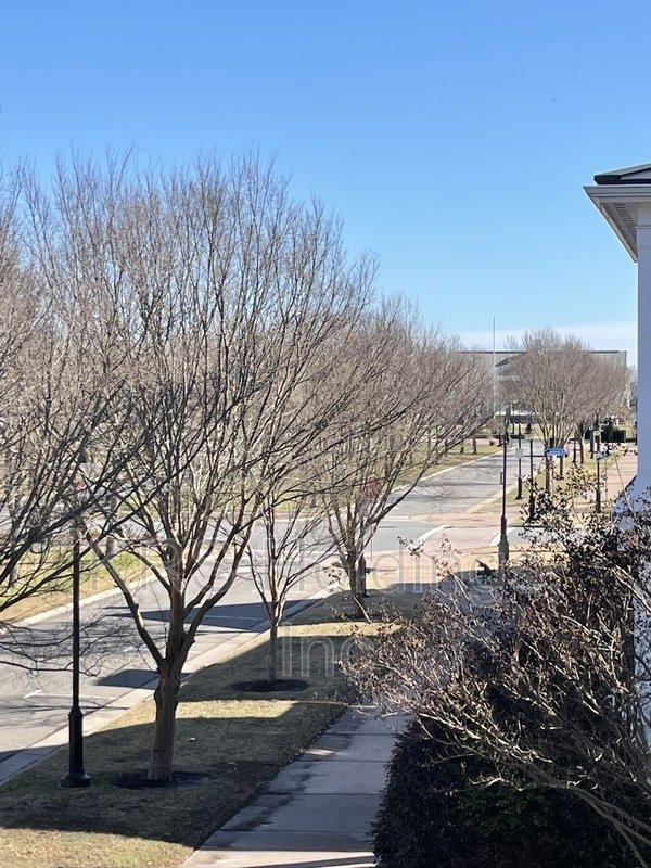 Luxurious property image