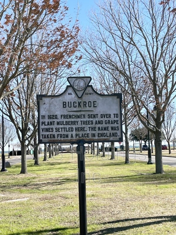 Luxurious property image