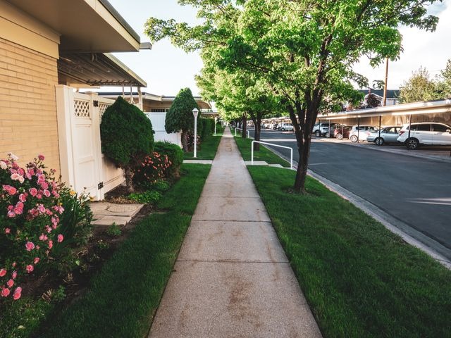 a side walk with a tree next to road